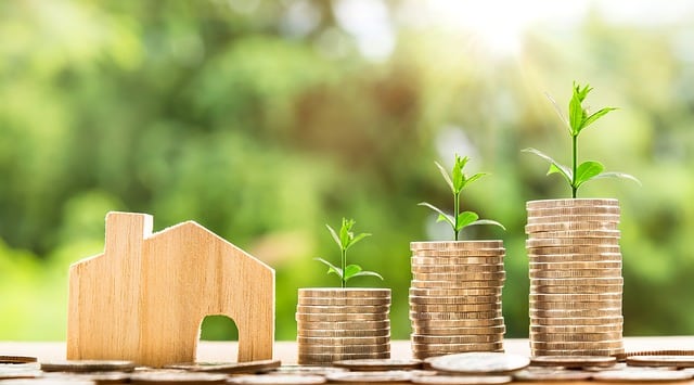 Preguntas frecuentes sobre Segunda Oportunidad y Deudas. Dinero creciendo